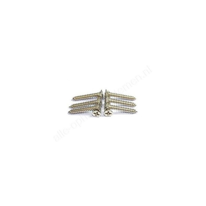 GeckoTeq Philips head Screw - 2.0x12
