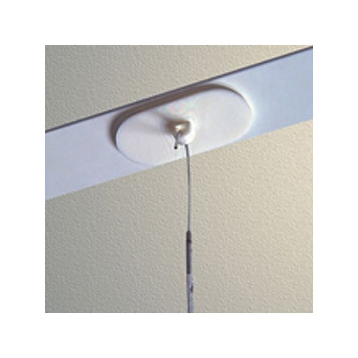 GeckoTeq autoadesivo soffitto occhio bianco - ovale - per pezzo