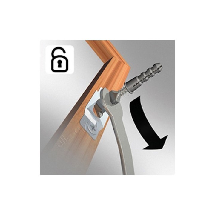 GeckoTeq Anti-Theft System nøgle