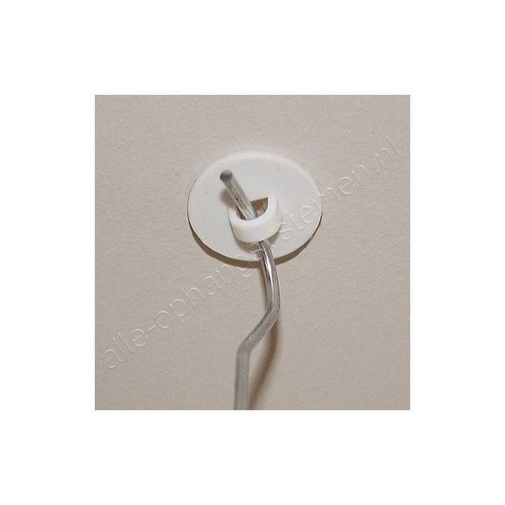 GeckoTeq autoadesivo soffitto occhio bianco - 20 mm - per pezzo