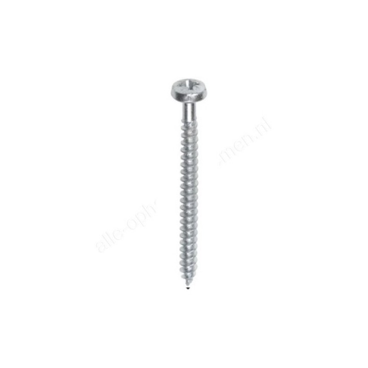 Tornillo de riel de cabeza semiesférica STAS - 3,5x45 mm