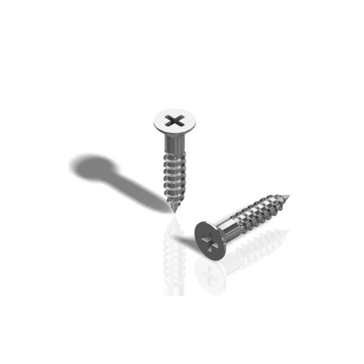 GeckoTeq Kreuzschlitzschraube - 2,0x12mm